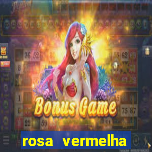 rosa vermelha (letra e cifra)